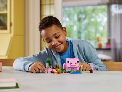LEGO MINECRAFT DUŻY ZESTAW KLOCKÓW DOM P - widok 2 LEGO opakowanie szczegoly collectible